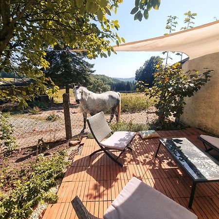 2 Zimmer Wohnung Mit Traumhaftem Blick In Die Natur Neustadt bei Coburg Luaran gambar